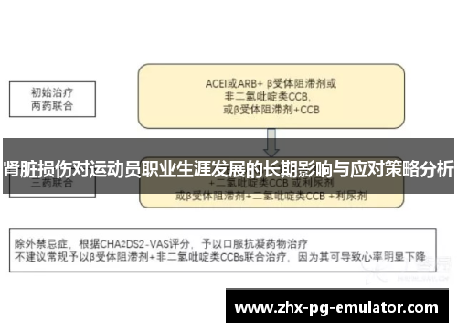 肾脏损伤对运动员职业生涯发展的长期影响与应对策略分析