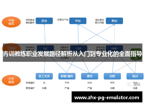 青训教练职业发展路径解析从入门到专业化的全面指导